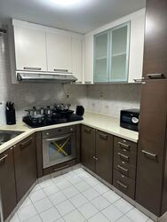 Parkshore (D15), Condominium #576088091